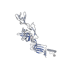 25102_7sfu_B_v1-1
CryoEM structure of Venezuelan Equine Encephalitis virus (VEEV) TC-83 strain VLP