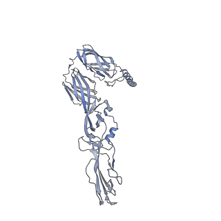 25102_7sfu_D_v1-1
CryoEM structure of Venezuelan Equine Encephalitis virus (VEEV) TC-83 strain VLP