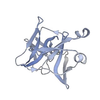 25102_7sfu_F_v1-1
CryoEM structure of Venezuelan Equine Encephalitis virus (VEEV) TC-83 strain VLP