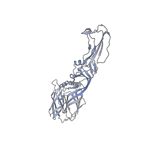 25102_7sfu_G_v1-1
CryoEM structure of Venezuelan Equine Encephalitis virus (VEEV) TC-83 strain VLP