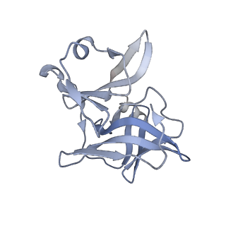 25102_7sfu_I_v1-1
CryoEM structure of Venezuelan Equine Encephalitis virus (VEEV) TC-83 strain VLP