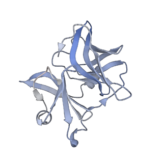 25102_7sfu_L_v1-1
CryoEM structure of Venezuelan Equine Encephalitis virus (VEEV) TC-83 strain VLP