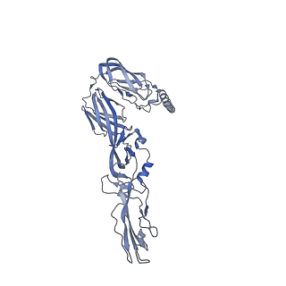 25103_7sfv_D_v1-1
CryoEM structure of Venezuelan Equine Encephalitis virus (VEEV) TC-83 strain VLP in complex with Fab hVEEV-63