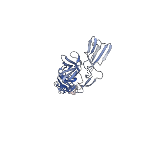 25103_7sfv_H_v1-1
CryoEM structure of Venezuelan Equine Encephalitis virus (VEEV) TC-83 strain VLP in complex with Fab hVEEV-63