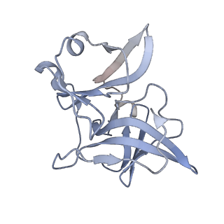 25103_7sfv_I_v1-1
CryoEM structure of Venezuelan Equine Encephalitis virus (VEEV) TC-83 strain VLP in complex with Fab hVEEV-63