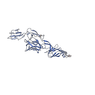 25103_7sfv_K_v1-1
CryoEM structure of Venezuelan Equine Encephalitis virus (VEEV) TC-83 strain VLP in complex with Fab hVEEV-63