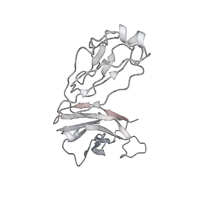 25103_7sfv_M_v1-1
CryoEM structure of Venezuelan Equine Encephalitis virus (VEEV) TC-83 strain VLP in complex with Fab hVEEV-63