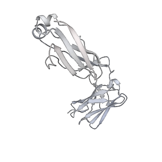 25103_7sfv_N_v1-1
CryoEM structure of Venezuelan Equine Encephalitis virus (VEEV) TC-83 strain VLP in complex with Fab hVEEV-63