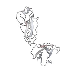 25103_7sfv_S_v1-1
CryoEM structure of Venezuelan Equine Encephalitis virus (VEEV) TC-83 strain VLP in complex with Fab hVEEV-63