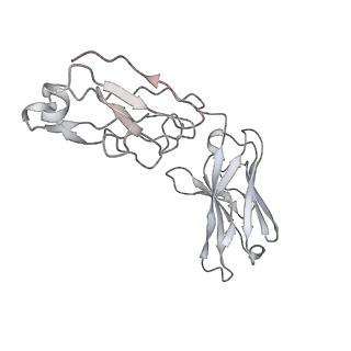 25103_7sfv_T_v1-1
CryoEM structure of Venezuelan Equine Encephalitis virus (VEEV) TC-83 strain VLP in complex with Fab hVEEV-63