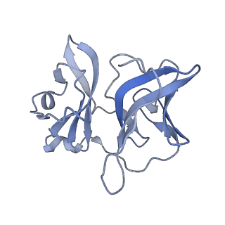 25104_7sfw_C_v1-1
CryoEM structure of Venezuelan Equine Encephalitis virus (VEEV) TC-83 strain VLP in complex with Fab hVEEV-63 (focus refine of the asymmetric unit)