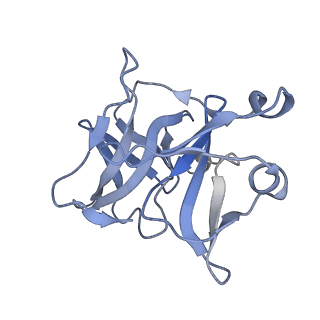 25104_7sfw_F_v1-1
CryoEM structure of Venezuelan Equine Encephalitis virus (VEEV) TC-83 strain VLP in complex with Fab hVEEV-63 (focus refine of the asymmetric unit)