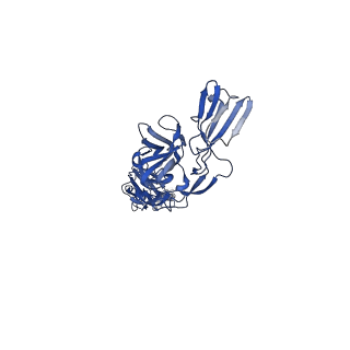 25104_7sfw_H_v1-1
CryoEM structure of Venezuelan Equine Encephalitis virus (VEEV) TC-83 strain VLP in complex with Fab hVEEV-63 (focus refine of the asymmetric unit)