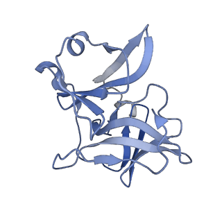 25104_7sfw_I_v1-1
CryoEM structure of Venezuelan Equine Encephalitis virus (VEEV) TC-83 strain VLP in complex with Fab hVEEV-63 (focus refine of the asymmetric unit)