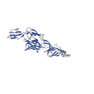 25104_7sfw_K_v1-1
CryoEM structure of Venezuelan Equine Encephalitis virus (VEEV) TC-83 strain VLP in complex with Fab hVEEV-63 (focus refine of the asymmetric unit)