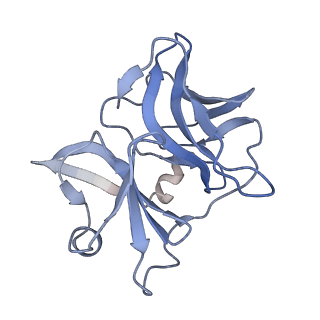 25104_7sfw_L_v1-1
CryoEM structure of Venezuelan Equine Encephalitis virus (VEEV) TC-83 strain VLP in complex with Fab hVEEV-63 (focus refine of the asymmetric unit)