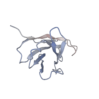 25104_7sfw_S_v1-1
CryoEM structure of Venezuelan Equine Encephalitis virus (VEEV) TC-83 strain VLP in complex with Fab hVEEV-63 (focus refine of the asymmetric unit)