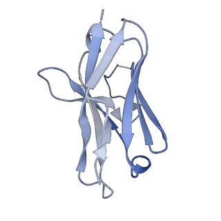 25104_7sfw_T_v1-1
CryoEM structure of Venezuelan Equine Encephalitis virus (VEEV) TC-83 strain VLP in complex with Fab hVEEV-63 (focus refine of the asymmetric unit)