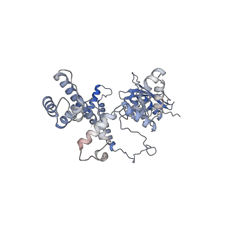 10175_6sg9_CI_v1-1
Head domain of the mt-SSU assemblosome from Trypanosoma brucei