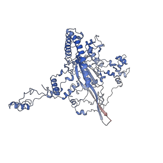 10175_6sg9_CJ_v1-1
Head domain of the mt-SSU assemblosome from Trypanosoma brucei