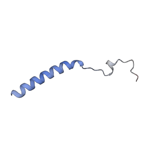 10175_6sg9_CK_v1-1
Head domain of the mt-SSU assemblosome from Trypanosoma brucei