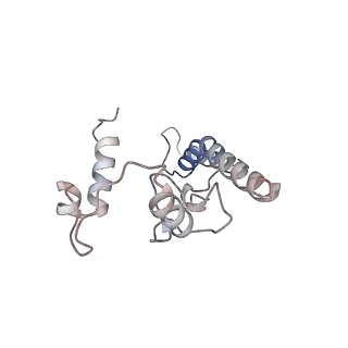 10175_6sg9_CN_v1-1
Head domain of the mt-SSU assemblosome from Trypanosoma brucei