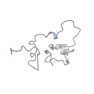 10175_6sg9_CS_v1-1
Head domain of the mt-SSU assemblosome from Trypanosoma brucei