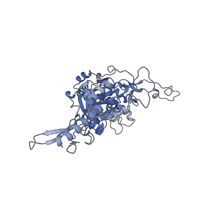 10175_6sg9_Cg_v1-1
Head domain of the mt-SSU assemblosome from Trypanosoma brucei