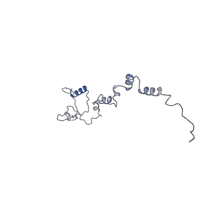 10175_6sg9_Ci_v1-1
Head domain of the mt-SSU assemblosome from Trypanosoma brucei