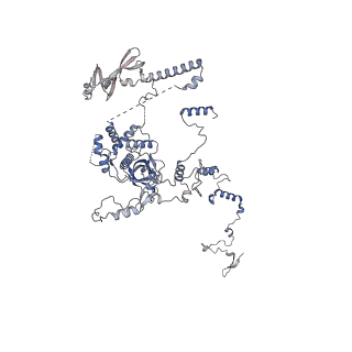 10175_6sg9_DB_v1-1
Head domain of the mt-SSU assemblosome from Trypanosoma brucei