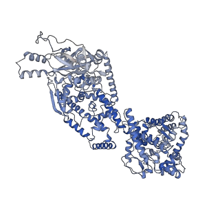 10175_6sg9_DC_v1-1
Head domain of the mt-SSU assemblosome from Trypanosoma brucei