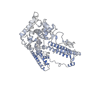 10175_6sg9_DE_v1-1
Head domain of the mt-SSU assemblosome from Trypanosoma brucei