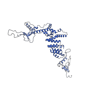 10175_6sg9_DF_v1-1
Head domain of the mt-SSU assemblosome from Trypanosoma brucei