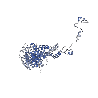 10175_6sg9_DG_v1-1
Head domain of the mt-SSU assemblosome from Trypanosoma brucei