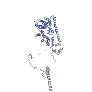 10175_6sg9_DH_v1-1
Head domain of the mt-SSU assemblosome from Trypanosoma brucei