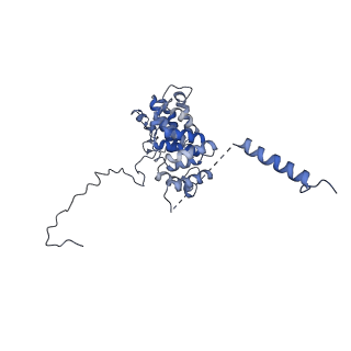 10175_6sg9_DJ_v1-1
Head domain of the mt-SSU assemblosome from Trypanosoma brucei