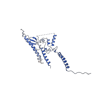 10175_6sg9_DK_v1-1
Head domain of the mt-SSU assemblosome from Trypanosoma brucei