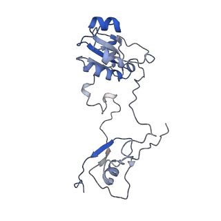 10175_6sg9_DT_v1-1
Head domain of the mt-SSU assemblosome from Trypanosoma brucei