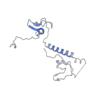 10175_6sg9_DV_v1-1
Head domain of the mt-SSU assemblosome from Trypanosoma brucei