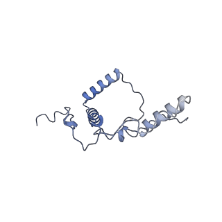 10175_6sg9_DW_v1-1
Head domain of the mt-SSU assemblosome from Trypanosoma brucei