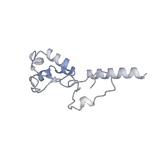 10175_6sg9_DX_v1-1
Head domain of the mt-SSU assemblosome from Trypanosoma brucei