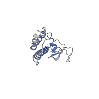 10175_6sg9_DY_v1-1
Head domain of the mt-SSU assemblosome from Trypanosoma brucei