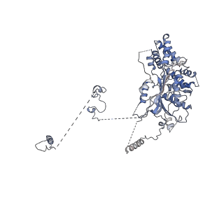 10175_6sg9_F4_v1-1
Head domain of the mt-SSU assemblosome from Trypanosoma brucei