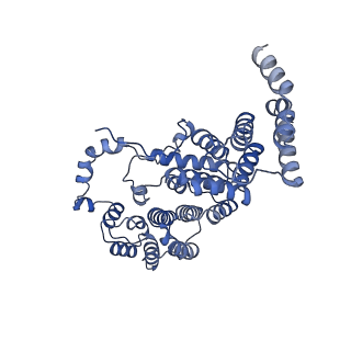 10175_6sg9_FD_v1-1
Head domain of the mt-SSU assemblosome from Trypanosoma brucei