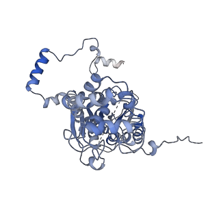 10175_6sg9_FF_v1-1
Head domain of the mt-SSU assemblosome from Trypanosoma brucei