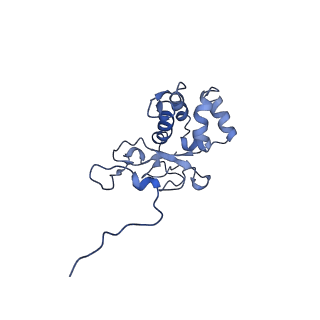 10175_6sg9_FG_v1-1
Head domain of the mt-SSU assemblosome from Trypanosoma brucei