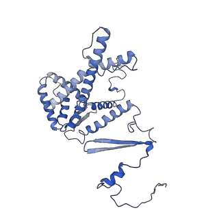 10175_6sg9_FI_v1-1
Head domain of the mt-SSU assemblosome from Trypanosoma brucei