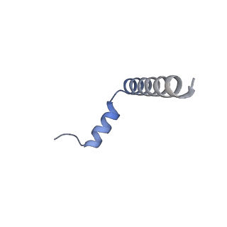 10175_6sg9_FJ_v1-1
Head domain of the mt-SSU assemblosome from Trypanosoma brucei
