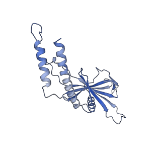 10175_6sg9_FK_v1-1
Head domain of the mt-SSU assemblosome from Trypanosoma brucei