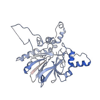 10175_6sg9_FL_v1-1
Head domain of the mt-SSU assemblosome from Trypanosoma brucei